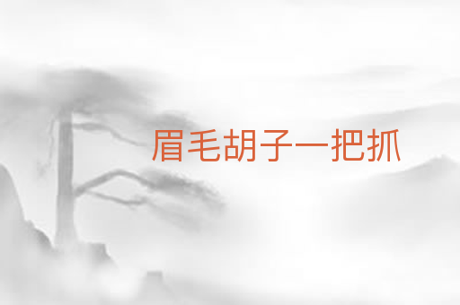 眉毛胡子一把抓