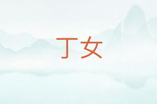 丁女