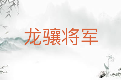 龙骧将军