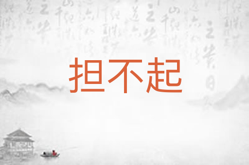 担不起