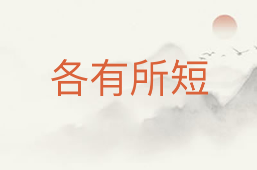 各有所短