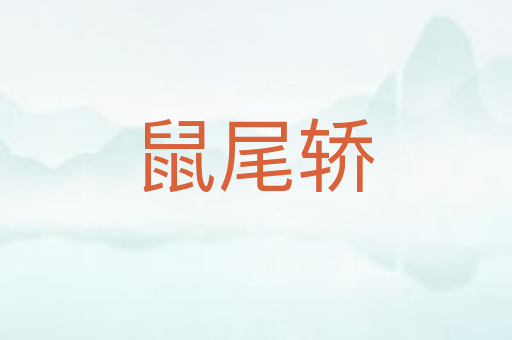 鼠尾轿