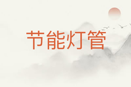 节能灯管