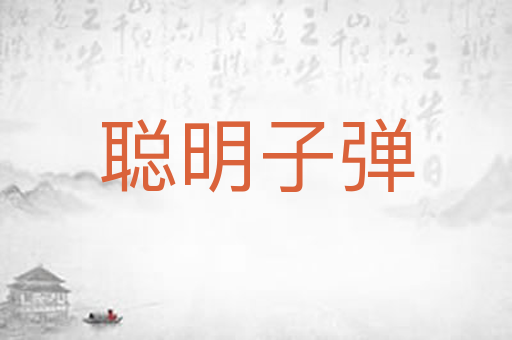 聪明子弹