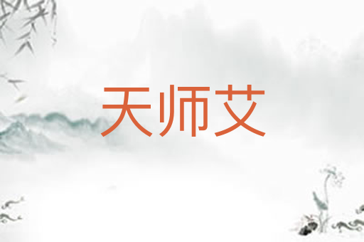 天师艾