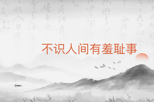 不识人间有羞耻事