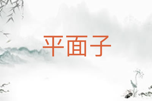 平面子