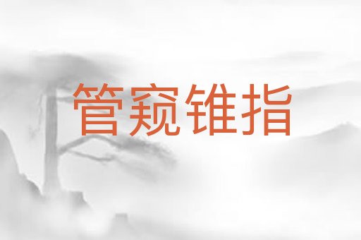 管窥锥指