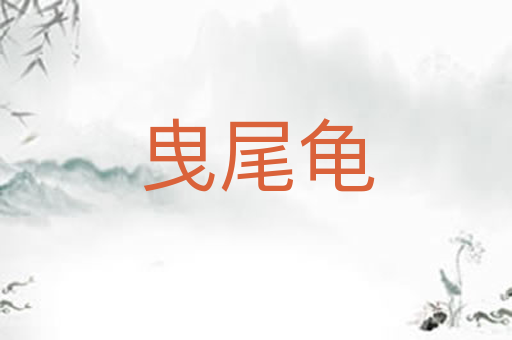 曳尾龟