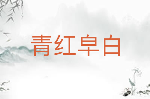 青红皁白