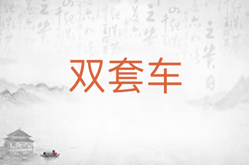 双套车