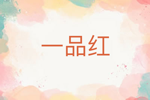 一品红