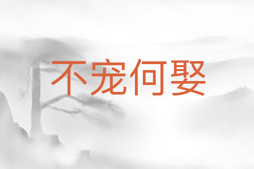不宠何娶