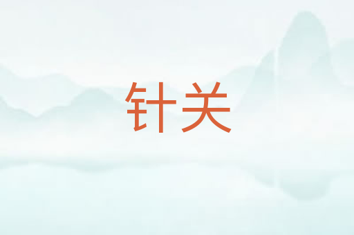 针关
