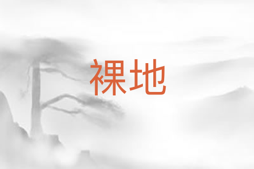 裸地