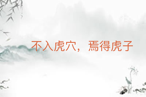 不入虎穴,焉得虎子