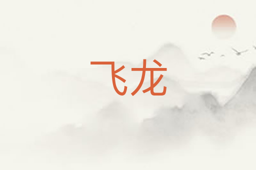 飞龙