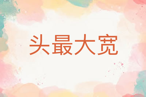 头最大宽