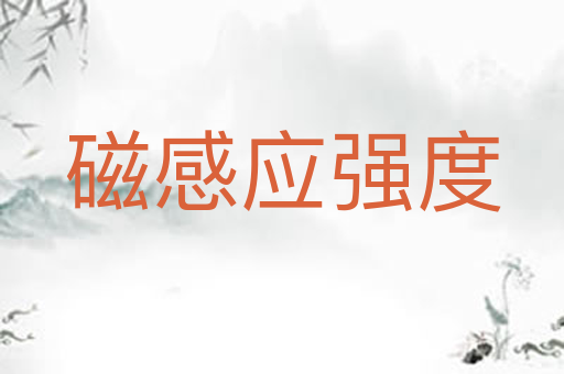 磁感应强度