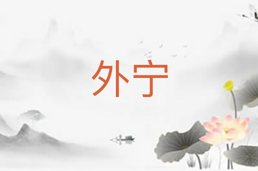 外宁