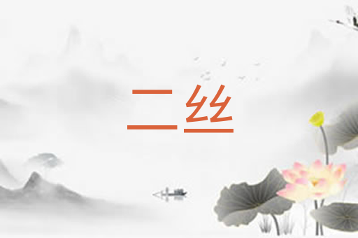 二丝