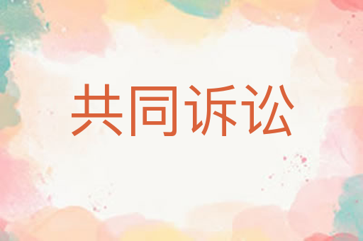 共同诉讼