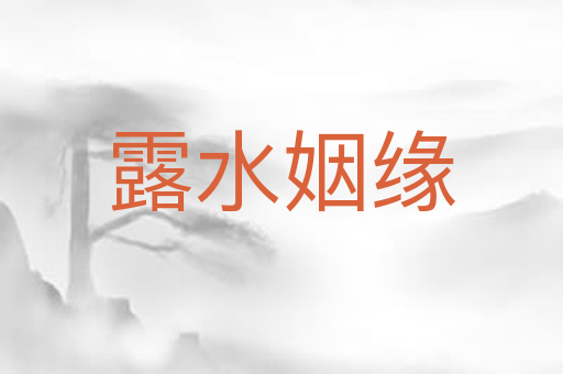 露水姻缘