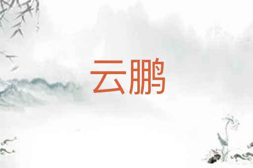 云鹏