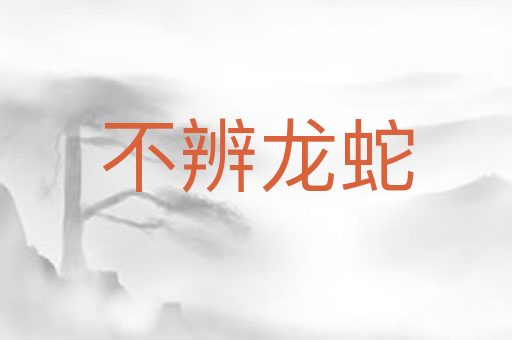 不辨龙蛇