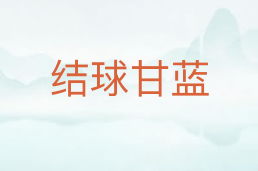 结球甘蓝