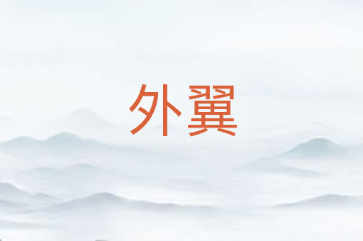 外翼