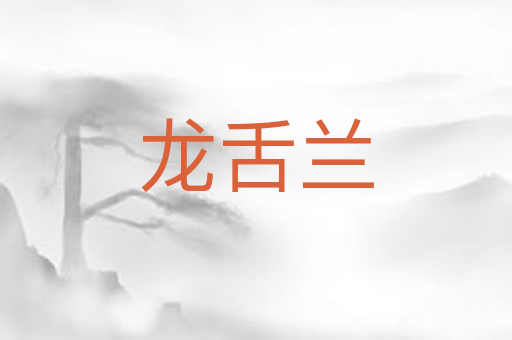 龙舌兰