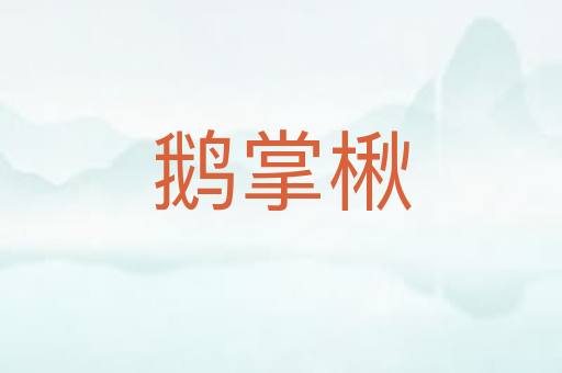 鹅掌楸