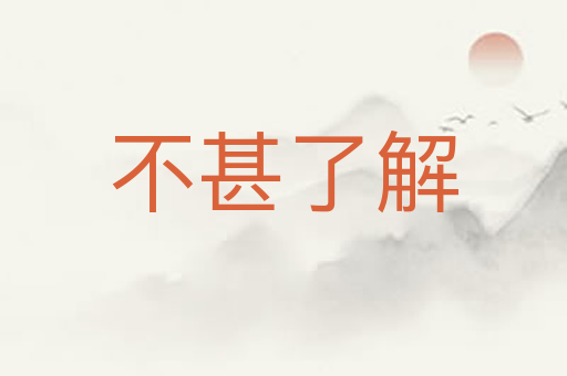 不甚了解