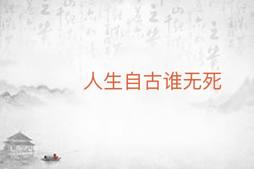 人生自古谁无死
