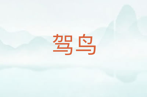 驾鸟