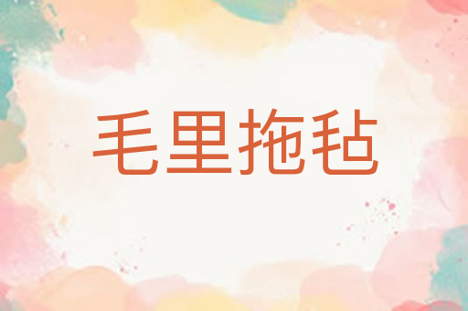 毛里拖毡
