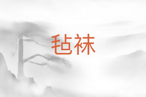 毡袜