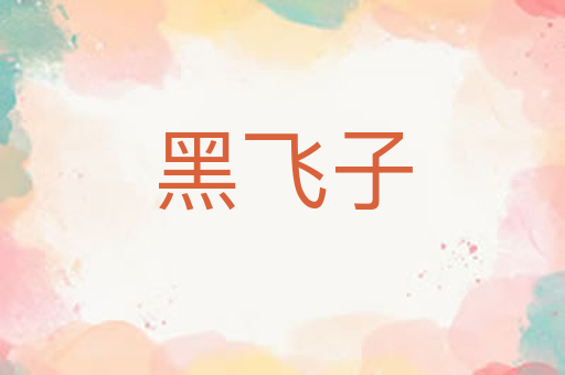 黑飞子