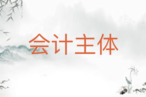 会计主体