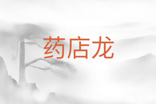 药店龙