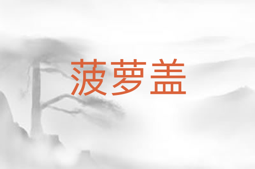 菠萝盖