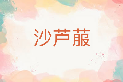 沙芦菔