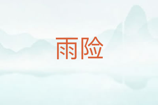 雨险