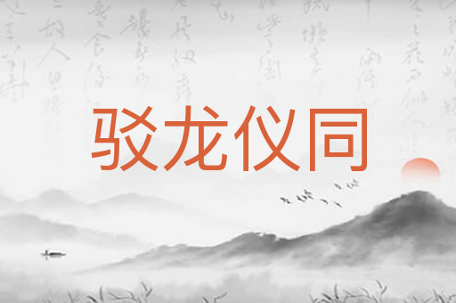 驳龙仪同