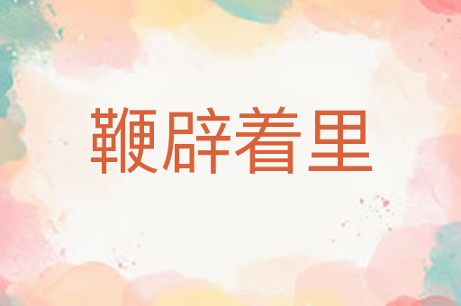鞭辟着里