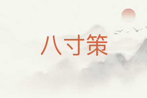 八寸策