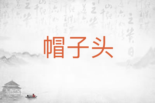 帽子头