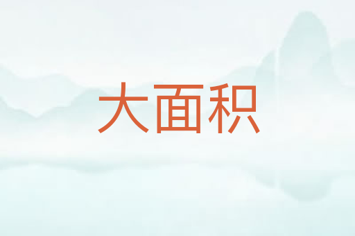 大面积