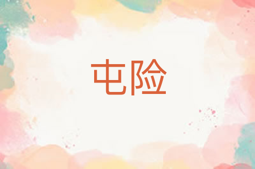 屯险